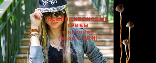 ГАЛЛЮЦИНОГЕННЫЕ ГРИБЫ Армянск
